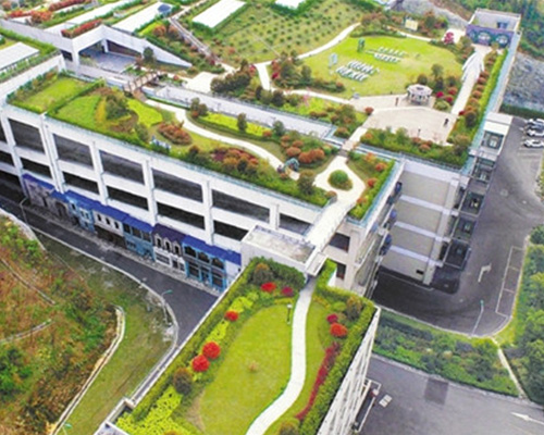 夏天應(yīng)該怎樣養(yǎng)護(hù)植物墻？